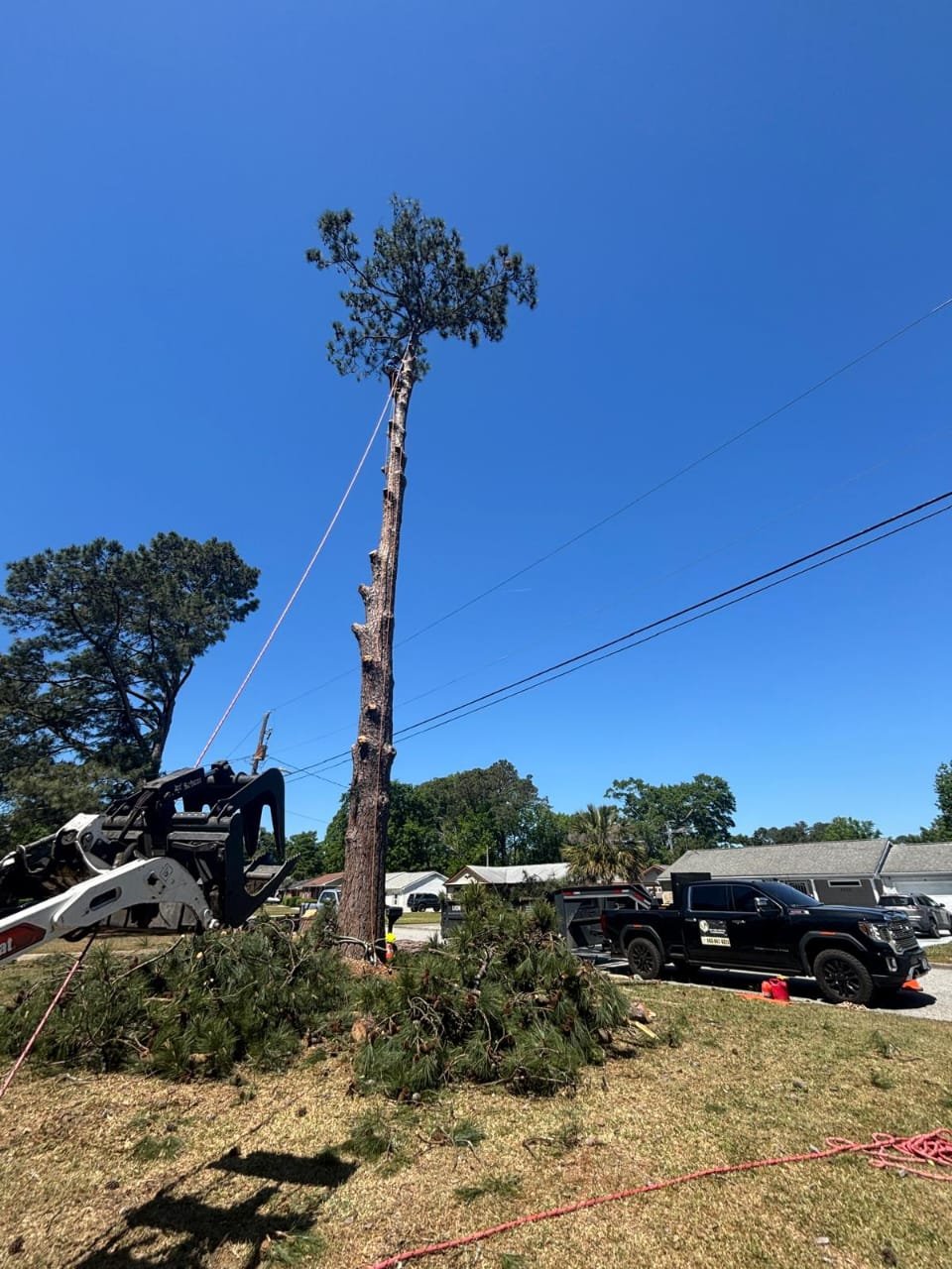 Lion Tree Service and Landscaping LLC project photo 35